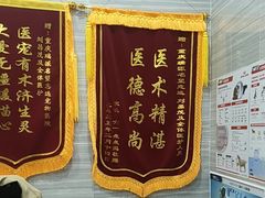 -瑞派名望志远动物医院·猫科·內科·异宠专科(直港大道店)