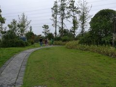 -桤木河湿地公园