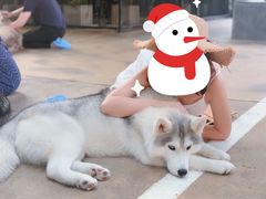 -TrueLove @ Neverland (Husky Cafe)