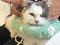 -怪兽屋·羊驼·猫咖·狗咖(俊华广场店)