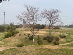 -良渚古城遗址公园