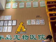 -半岛宠物医院24小时·内窥镜·牙科·碎石中心(府城大道店)