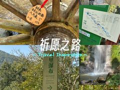 -莫里热带雨林景区