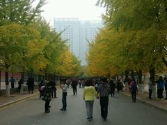 -辽宁大学(崇山校区)