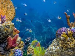 -成都浩海立方海洋公园