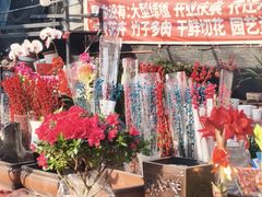 -中环花鸟鱼虫市场