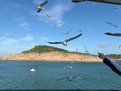 -海驴岛(荣成市)