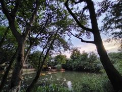 -西溪国家湿地公园