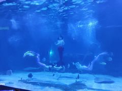 -石家庄海洋公园
