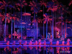 景点-三亚红色娘子军演艺公园景区