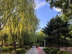 -绿堤公园