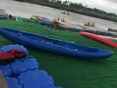 -春花秋色城市公园