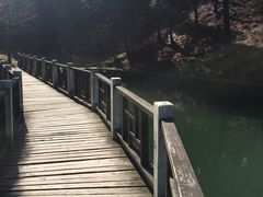-四明山国家森林公园