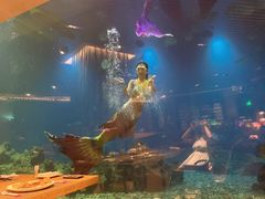-涛·海底餐厅·美人鱼·自助餐·海底隧道(三亚海棠湾洲际度假酒店)