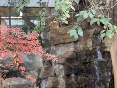 -龙华寺