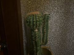 -泰适SPA馆丨精油·按摩·足道(后海地铁口店)