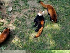 -西安秦岭野生动物园