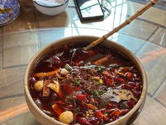 -青城甲(青城山店)