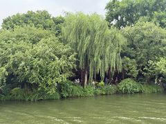 -西湖游船