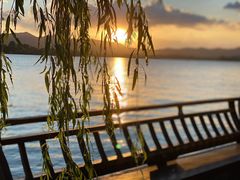 -柳莺湖上·湖景餐厅·江南菜(西湖店)