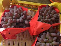 -马陆小张葡萄园农家乐