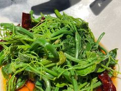 -柴门饭儿(成都太古里店)