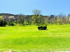 -棒棰岛宾馆景区