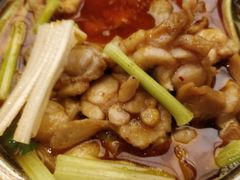 -芙蓉凰花园酒楼