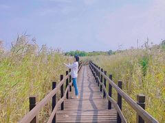 -西青郊野公园