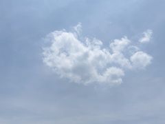 -秦始皇帝陵博物院(兵马俑)