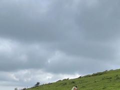 -大姆山草场