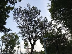 -华南师范大学(广州大学城校区)