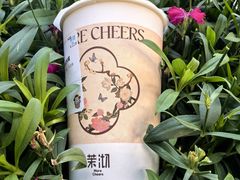 -茉沏(山塘街店)