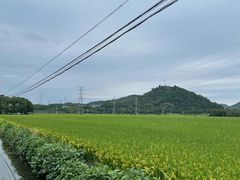 -李东农庄(中南百草园地标店)