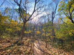 -玉渡山自然风景区