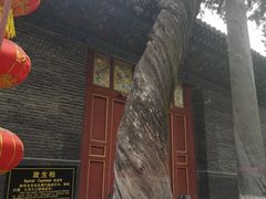 -关林