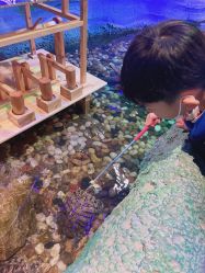 -酷嗒动物文化乐园(cutezoo西溪乐天城店)