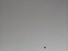 -胜记大排档·台山本地海鲜·台山黄鳝饭