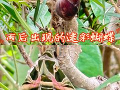 -晓港公园