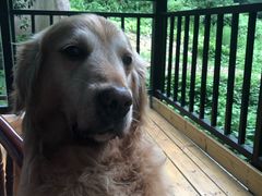 -佳百利宠物(荣乐中路115弄小区店)