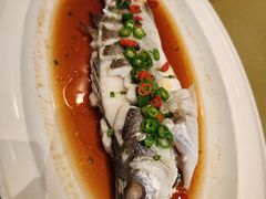 -麒麟华膳汇(飞泷商务大厦店)