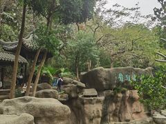 -深圳国际园林花卉博览园