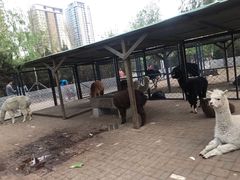 -长白岛森林公园