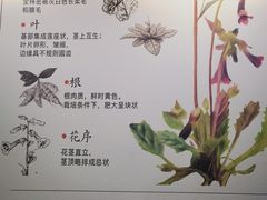 -北京中医药大学-中医药博物馆