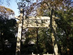 -国生茶庄·地道农家菜团建活动