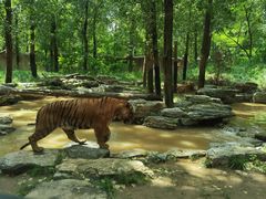 -北京野生动物园