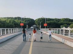 -东方绿舟景区