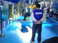 -顺德南宏海立方海洋公园