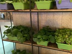 -番食园鲜食火锅(高新店)