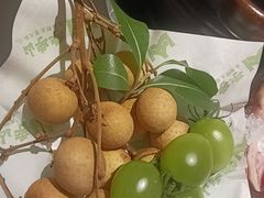 -季季山·云南野生菌火锅(上海首店)